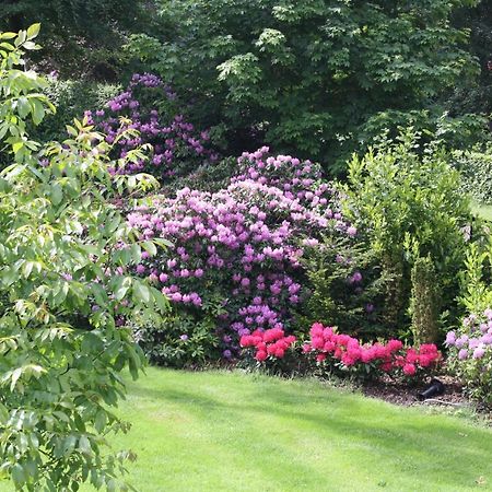 Bed & Breakfast Op 't Leven Ermelo Eksteriør bilde