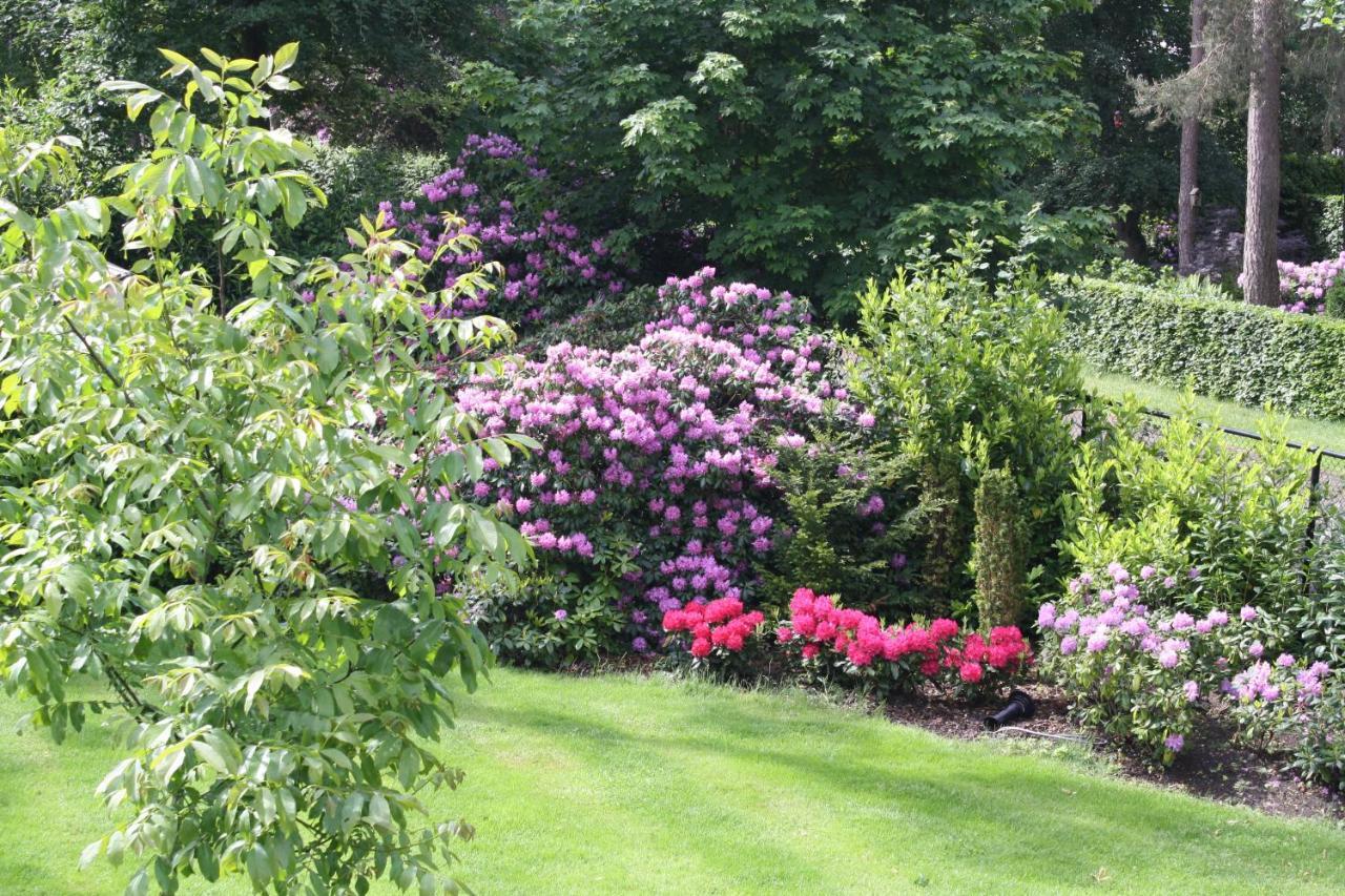 Bed & Breakfast Op 't Leven Ermelo Eksteriør bilde